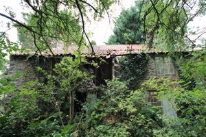 Photo 13- click for photo gallery